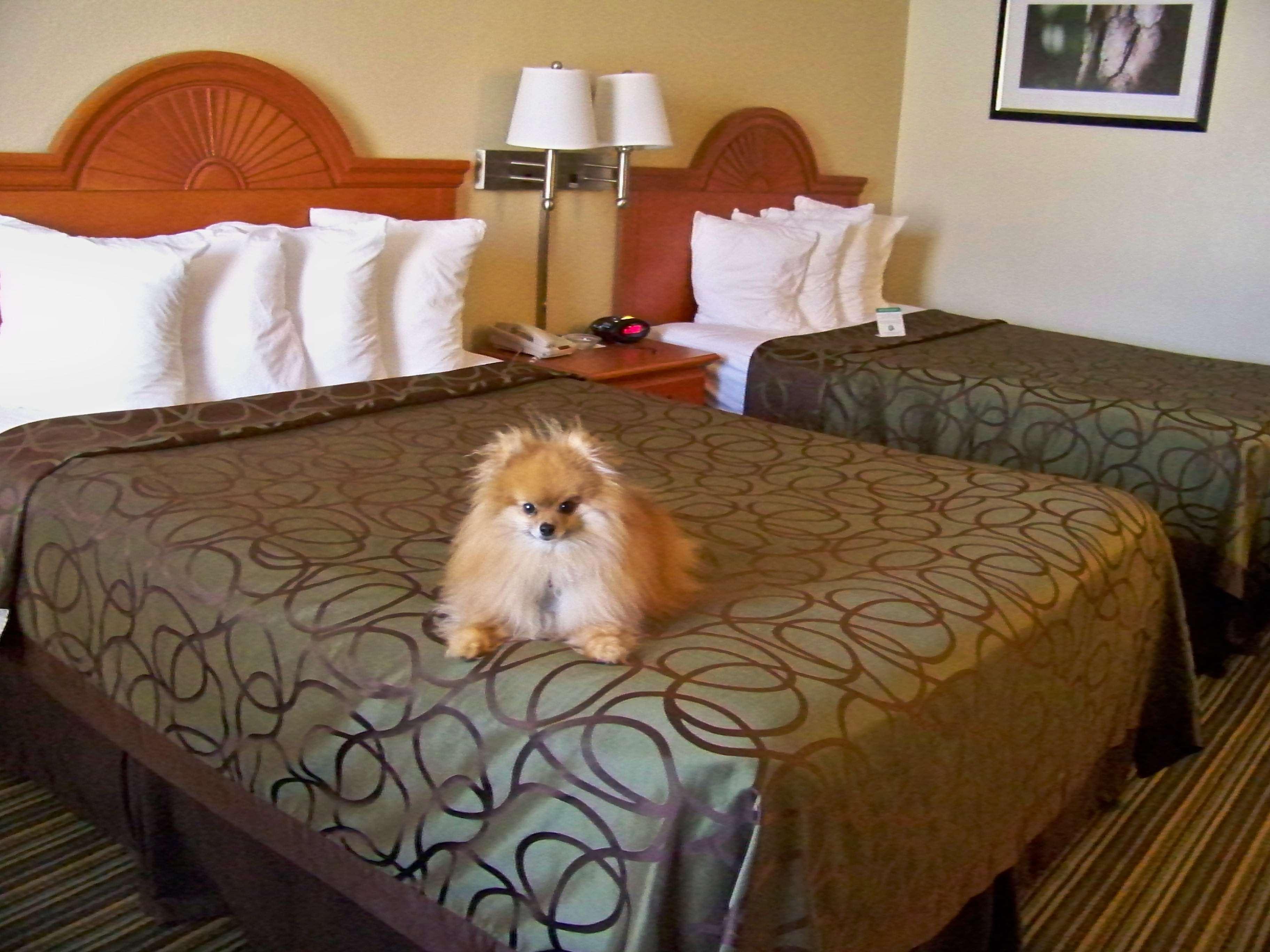 เบสท์ เวสเทิร์น ออฟ เมอร์ฟี Hotel ภายนอก รูปภาพ