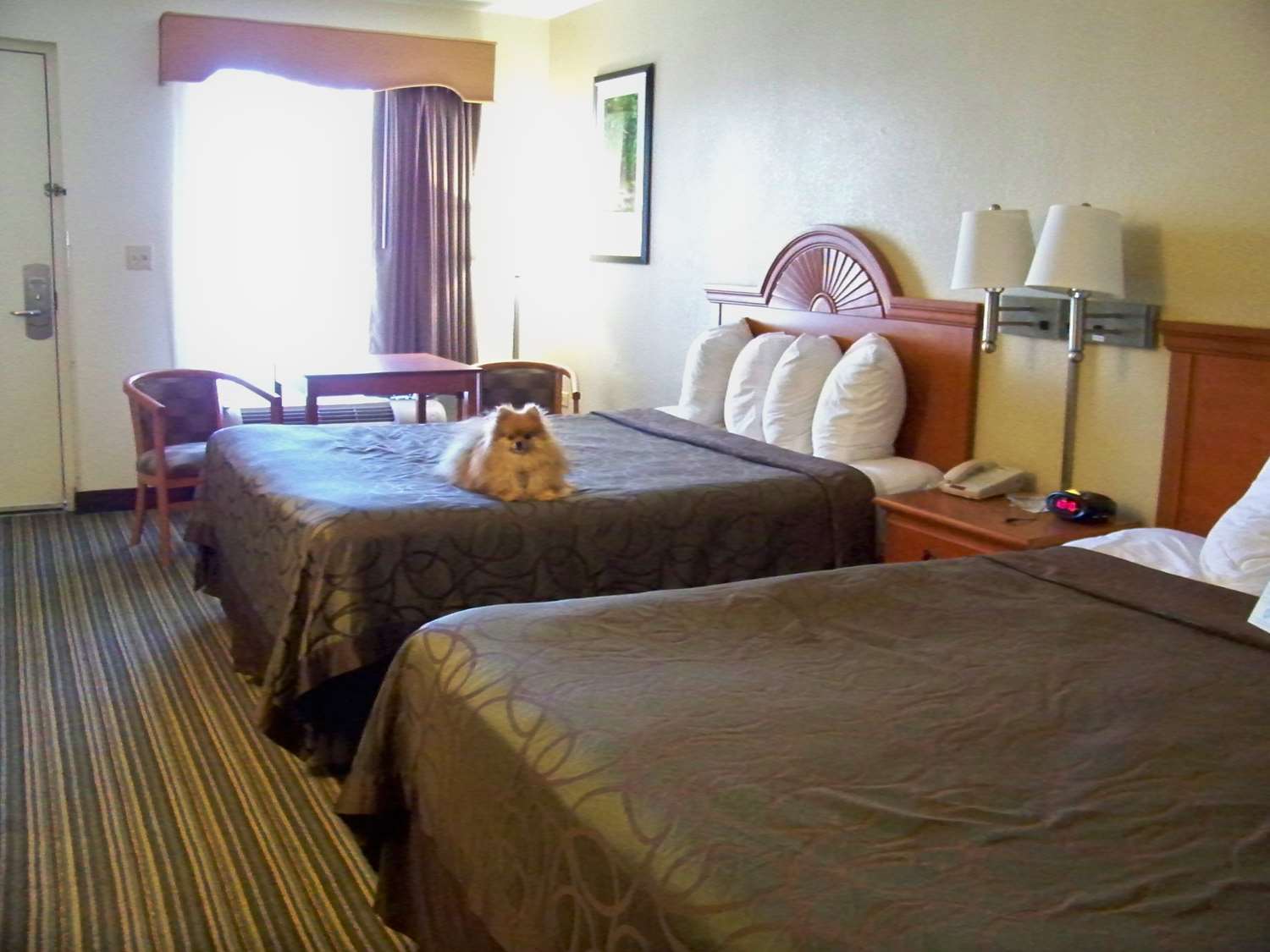 เบสท์ เวสเทิร์น ออฟ เมอร์ฟี Hotel ภายนอก รูปภาพ